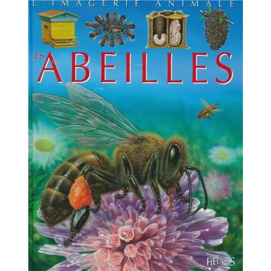les abeilles - imagerie animal