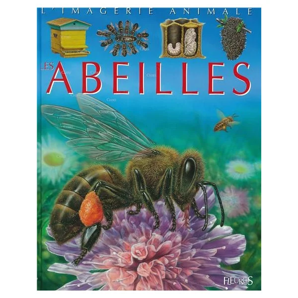 les abeilles - imagerie animal