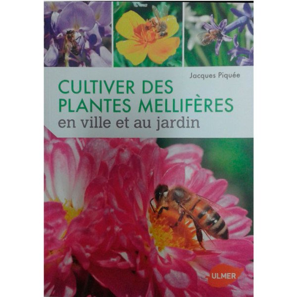 Cultiver des plantes méllifères,