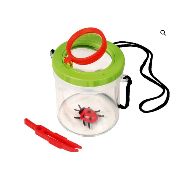 Boite loupe à insecte
